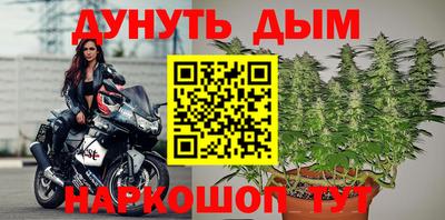 стафф Краснознаменск